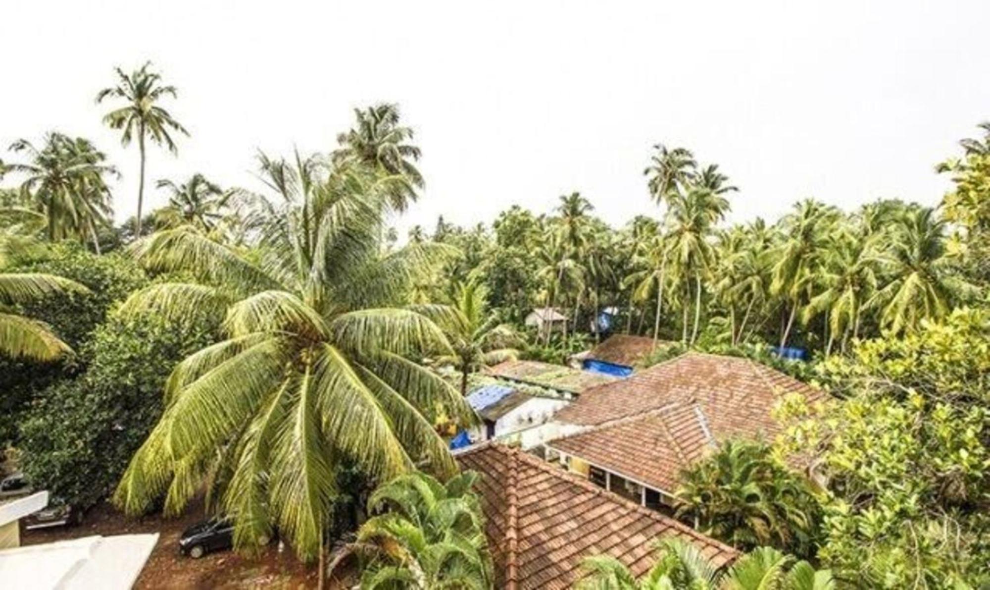 Hotel Fabexpress Orchid The Sky Calangute Exterior foto